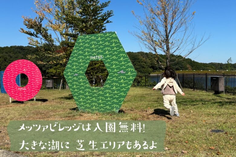 メッツァの芝生